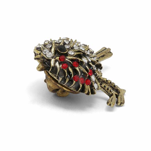 Rockin' robin brooch